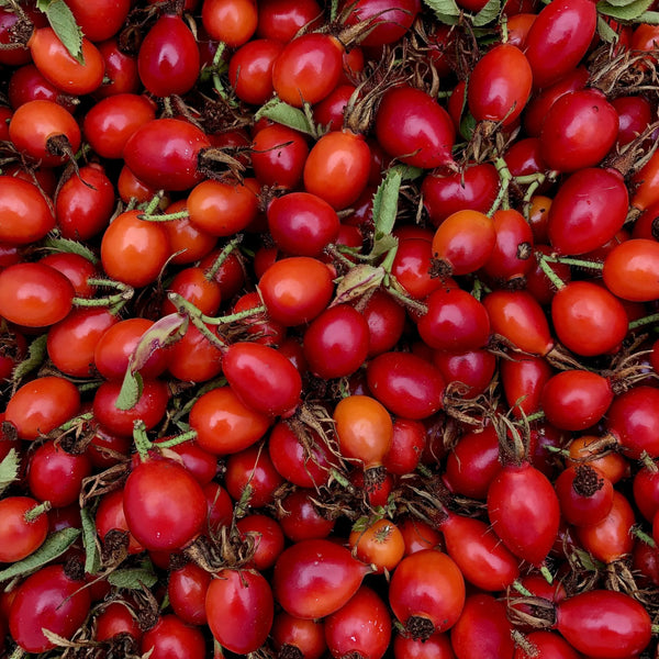 Rosehip Oil